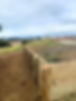 unnamed9_edited.jpg