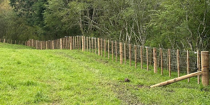 Farm fencing