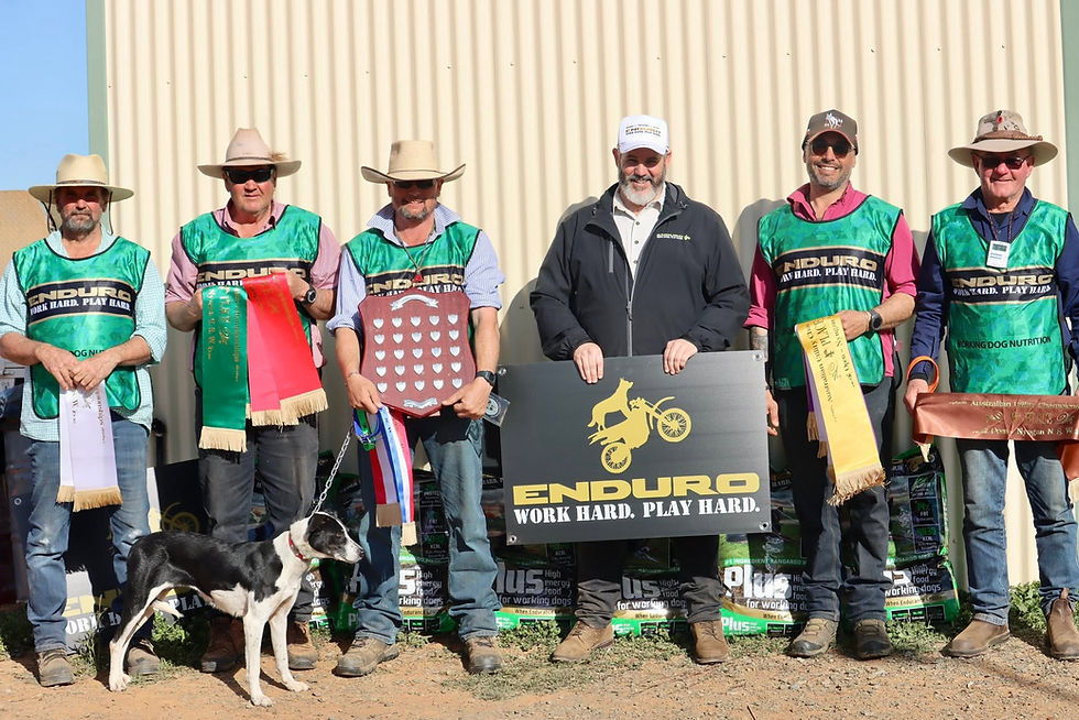 Australian Utility Championship winners 2026