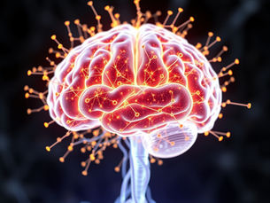 Neurociencia y Aprendizaje Significativo: Fundamentos para Comprender Cómo Aprende el Cerebro