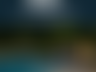 Transform Your Outdoor Space with Living Rock Pools & Hardscapes