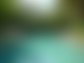 Discover Stunning Custom Pool Design Options