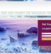 עיצוב אתר בוויקס