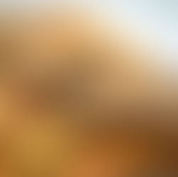 Glutenfreies Hasel-Nussbrot