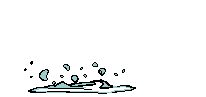 poisson_128.gif