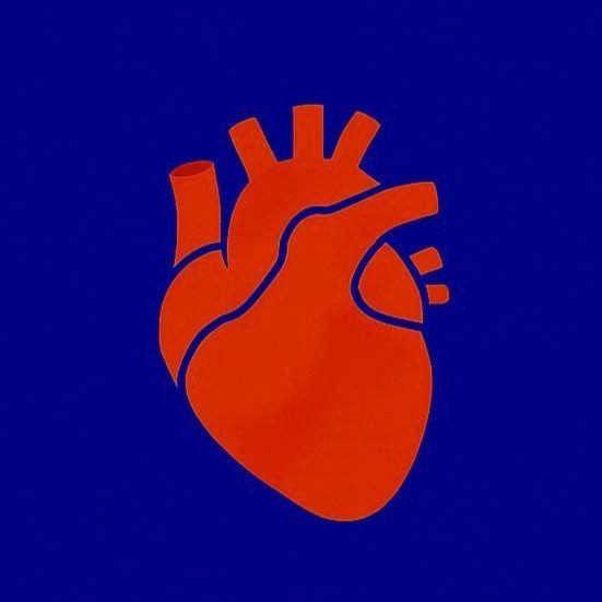 Begin here: A Connection with Your Heart (16 min)