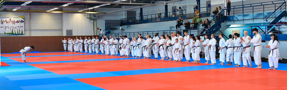 2023-05 Saori Okamoto Sensei (8).jpeg