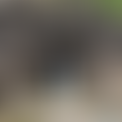 Elephant cave Temple in Bali