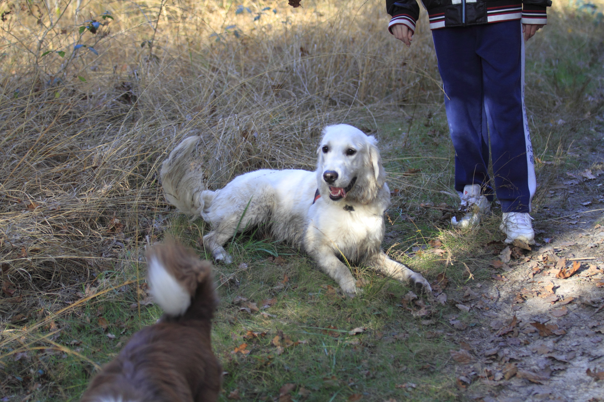 _MG_6794.JPG