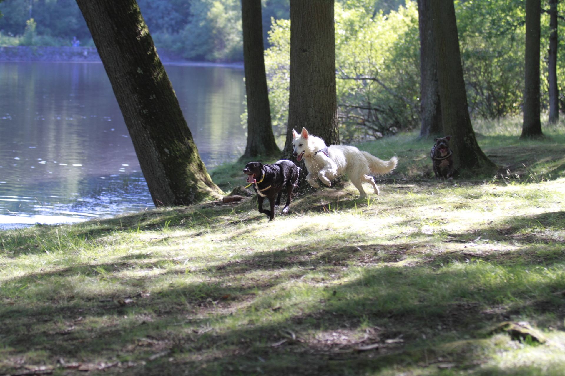 _MG_8441.JPG