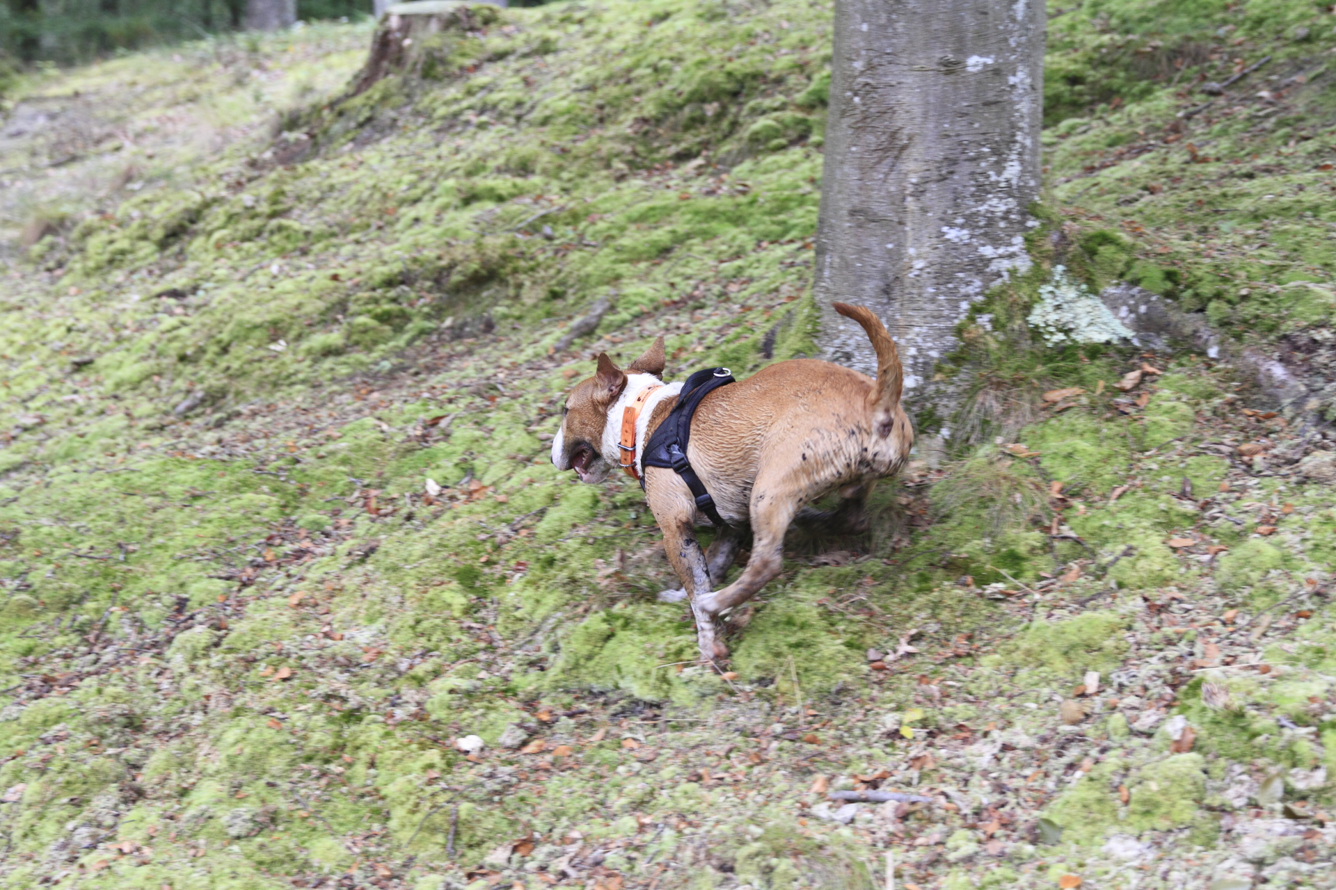 _MG_5502.JPG