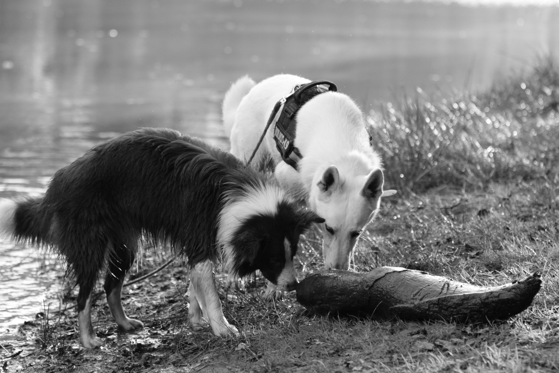 _MG_6965.JPG