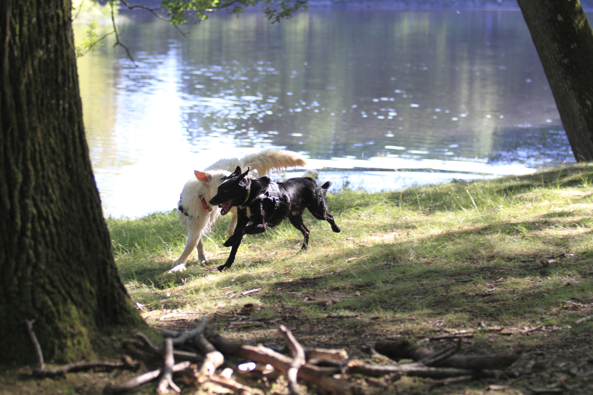 _MG_8444.JPG