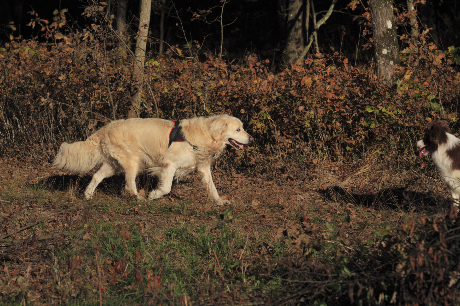 _MG_6850.JPG