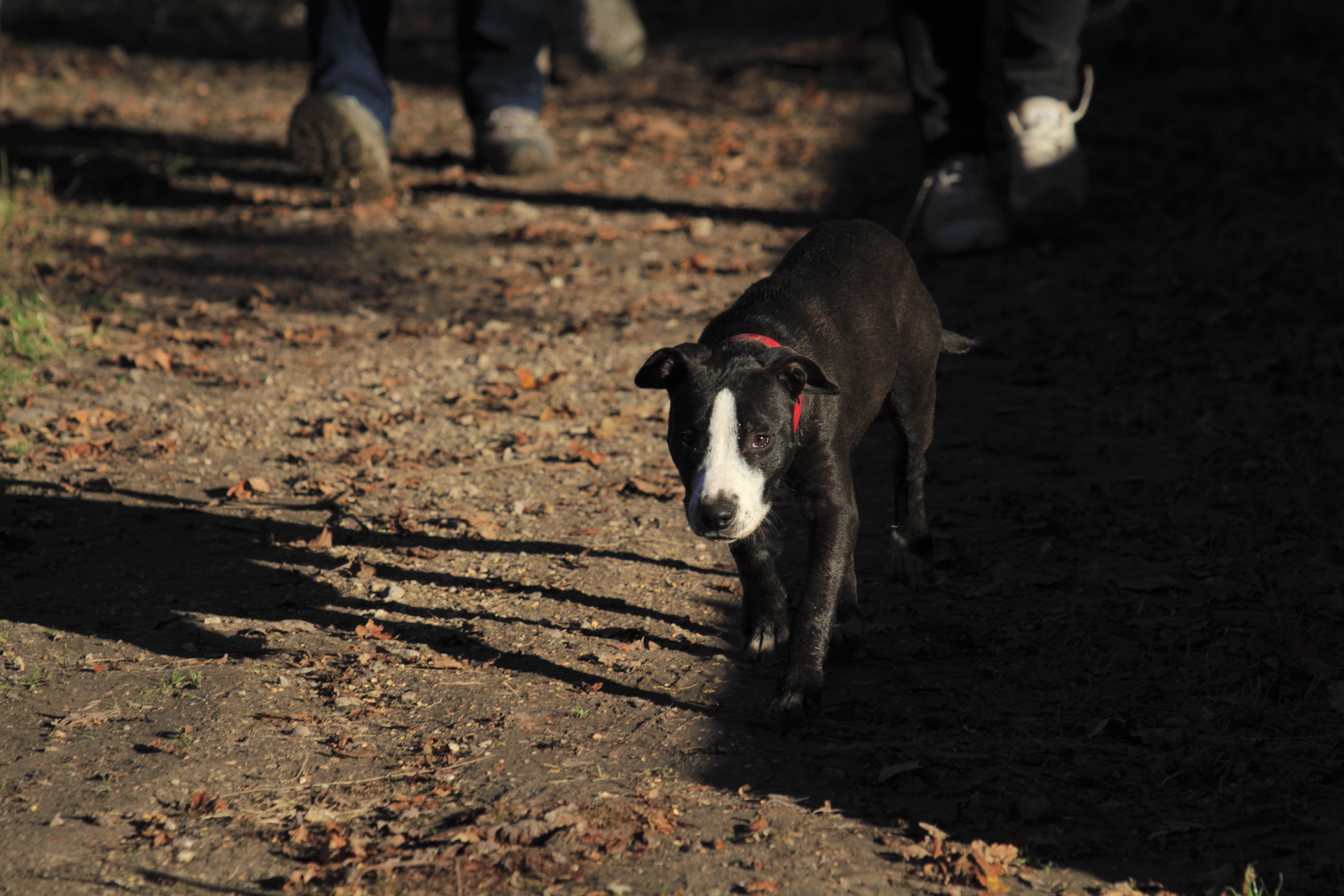 _MG_6869.JPG