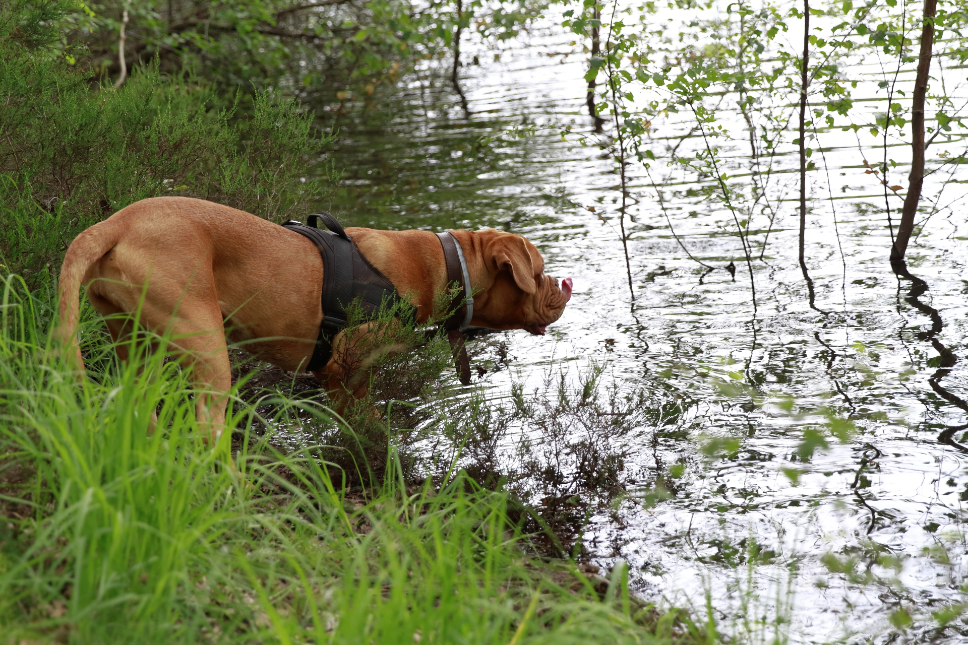 _MG_6307.JPG