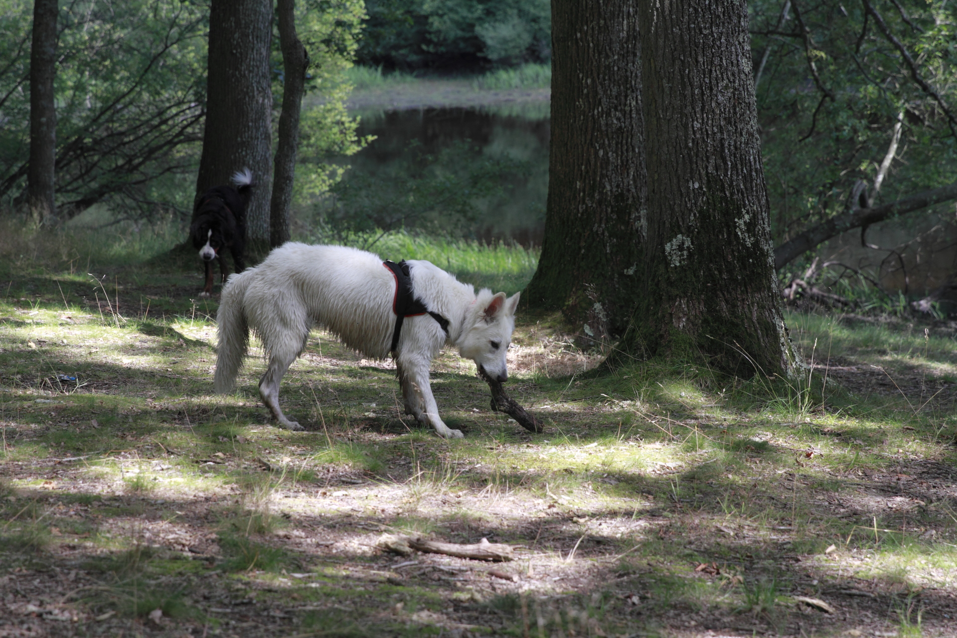 _MG_3155.JPG
