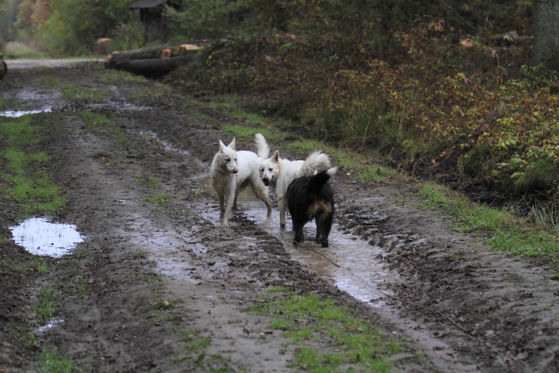 _MG_6469.JPG