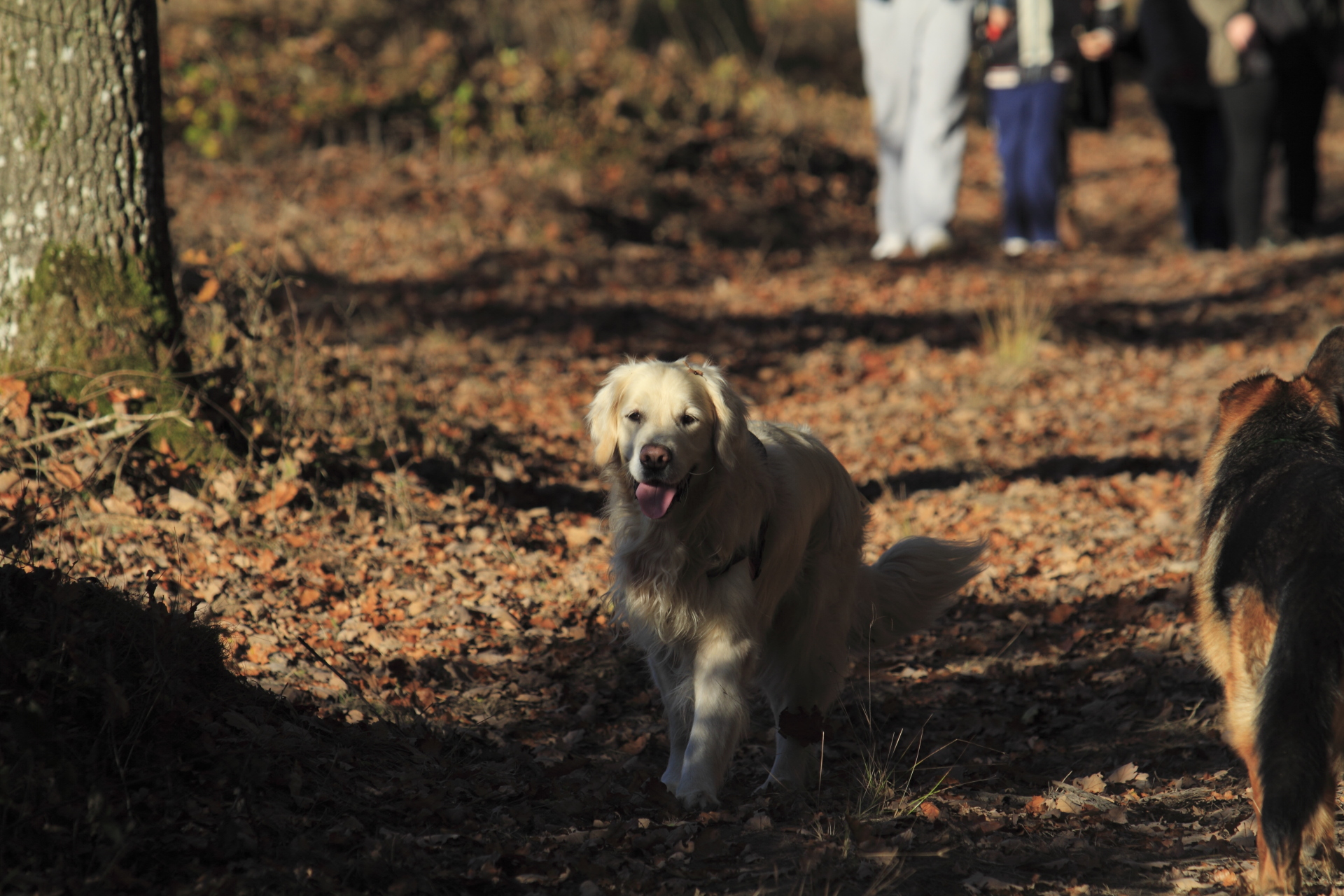 _MG_6834.JPG