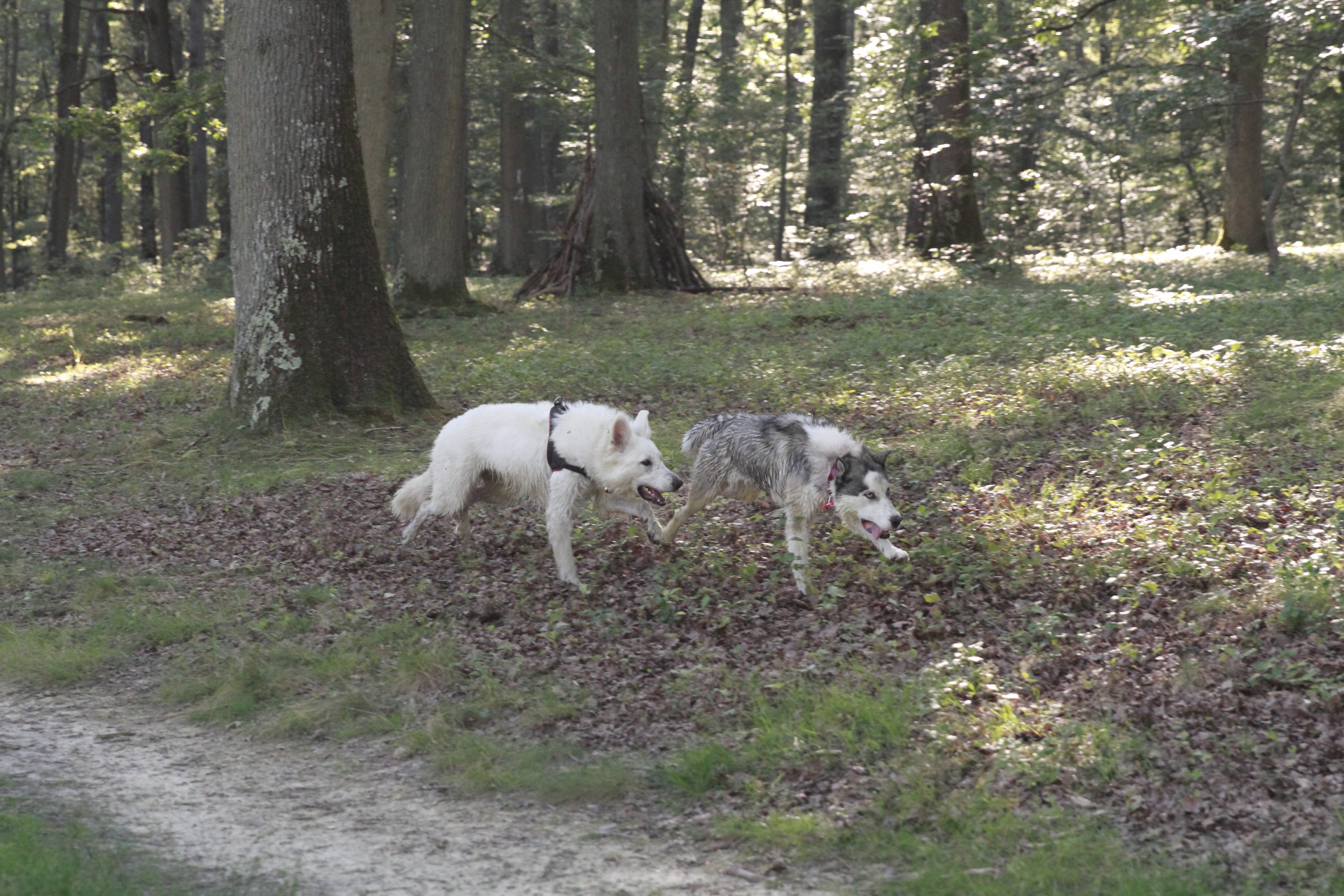 _MG_2086.JPG