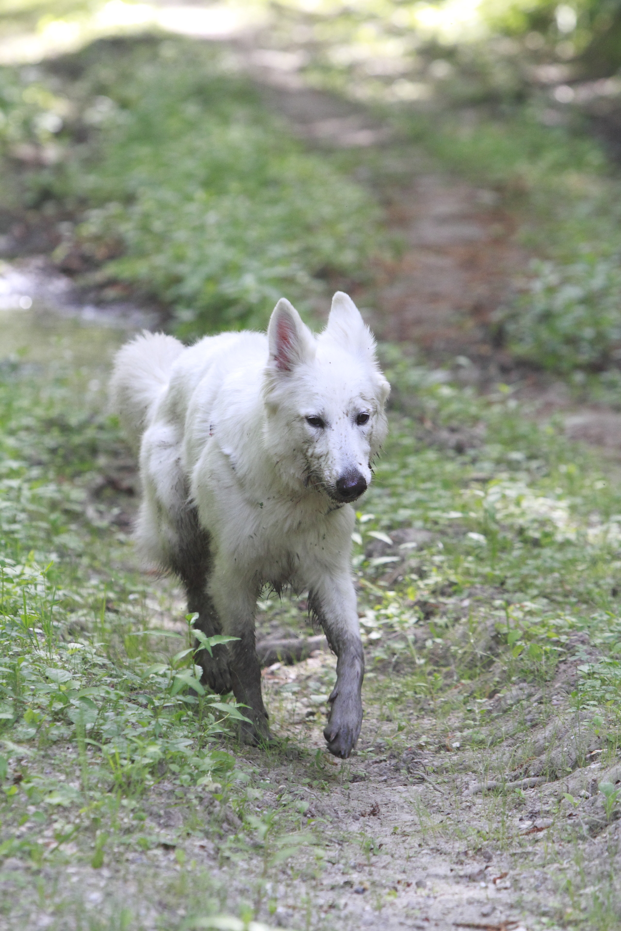 _MG_0818.JPG