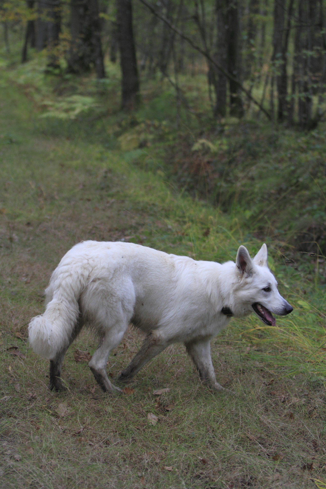_MG_6406.JPG
