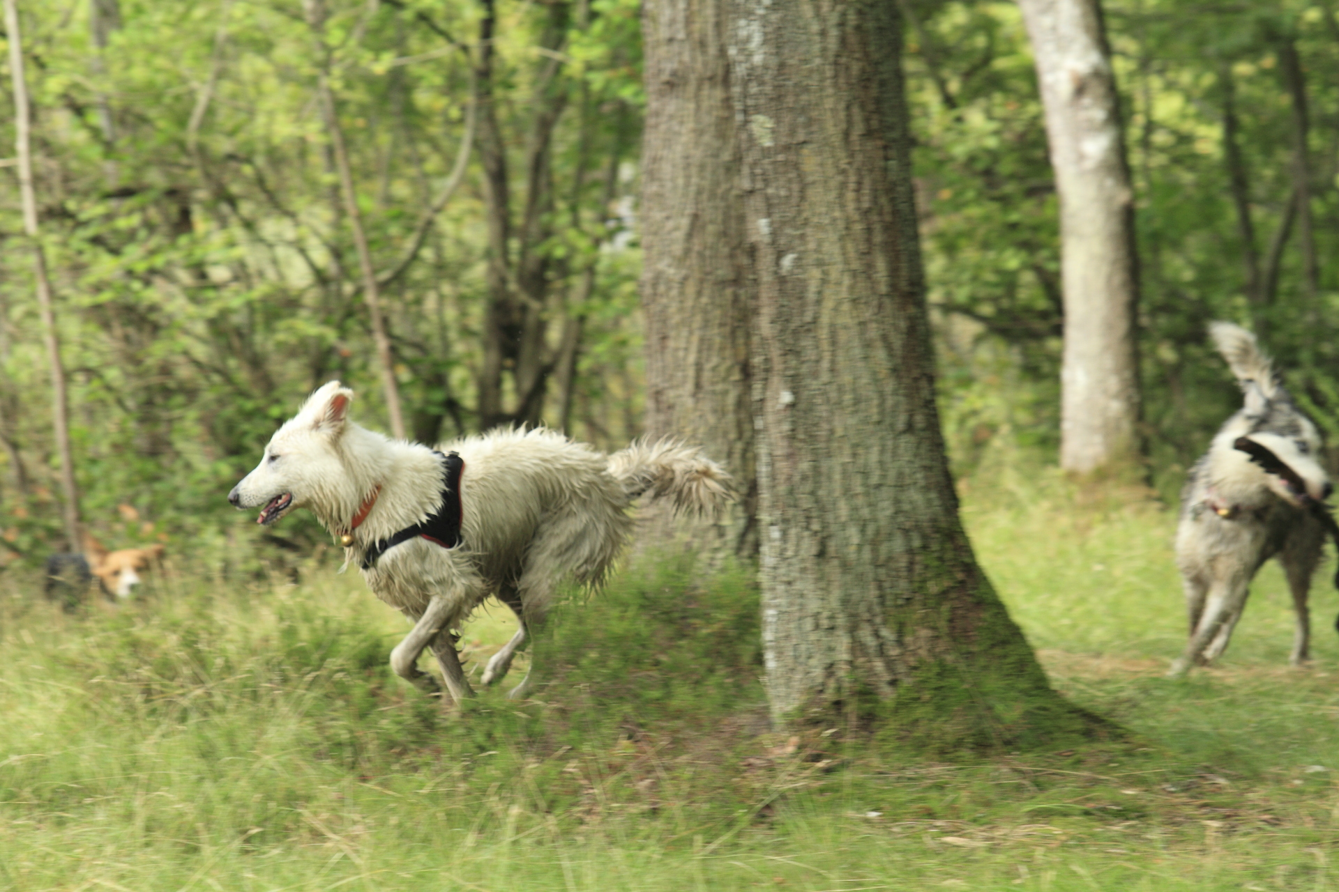 _MG_9415.JPG