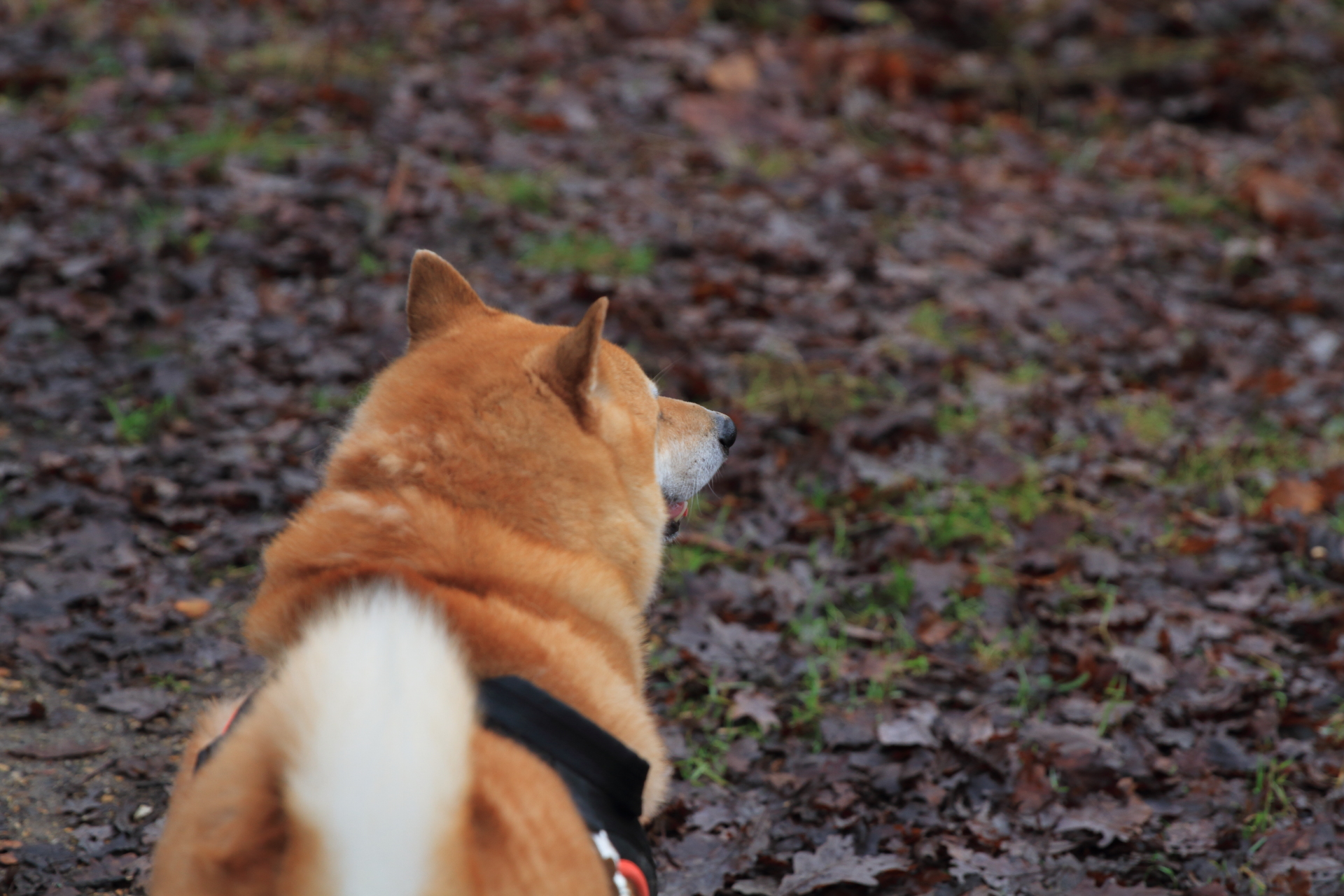 _MG_0362.JPG