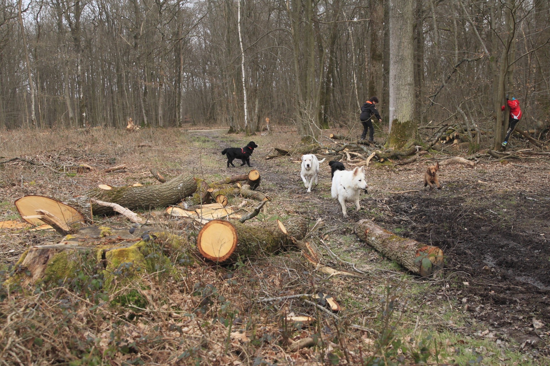 _MG_3984.JPG