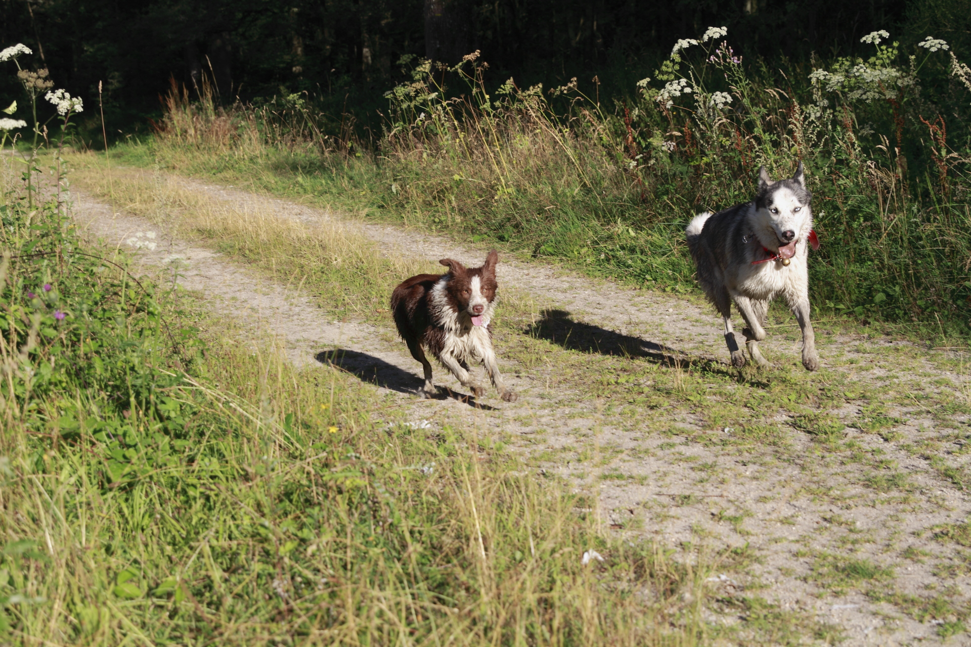 _MG_2167.JPG