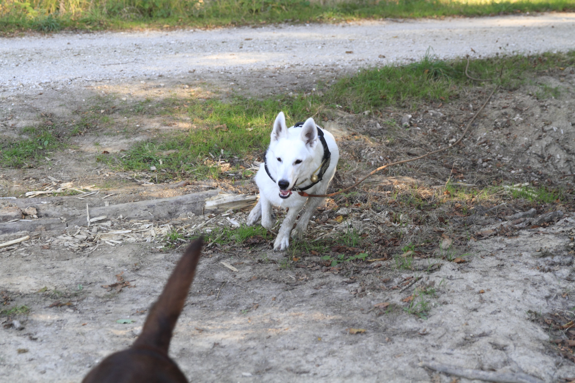 _MG_6250.JPG