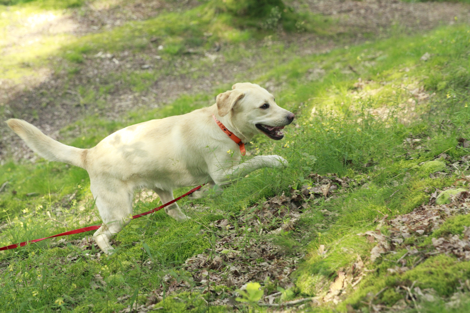 _MG_5827.JPG