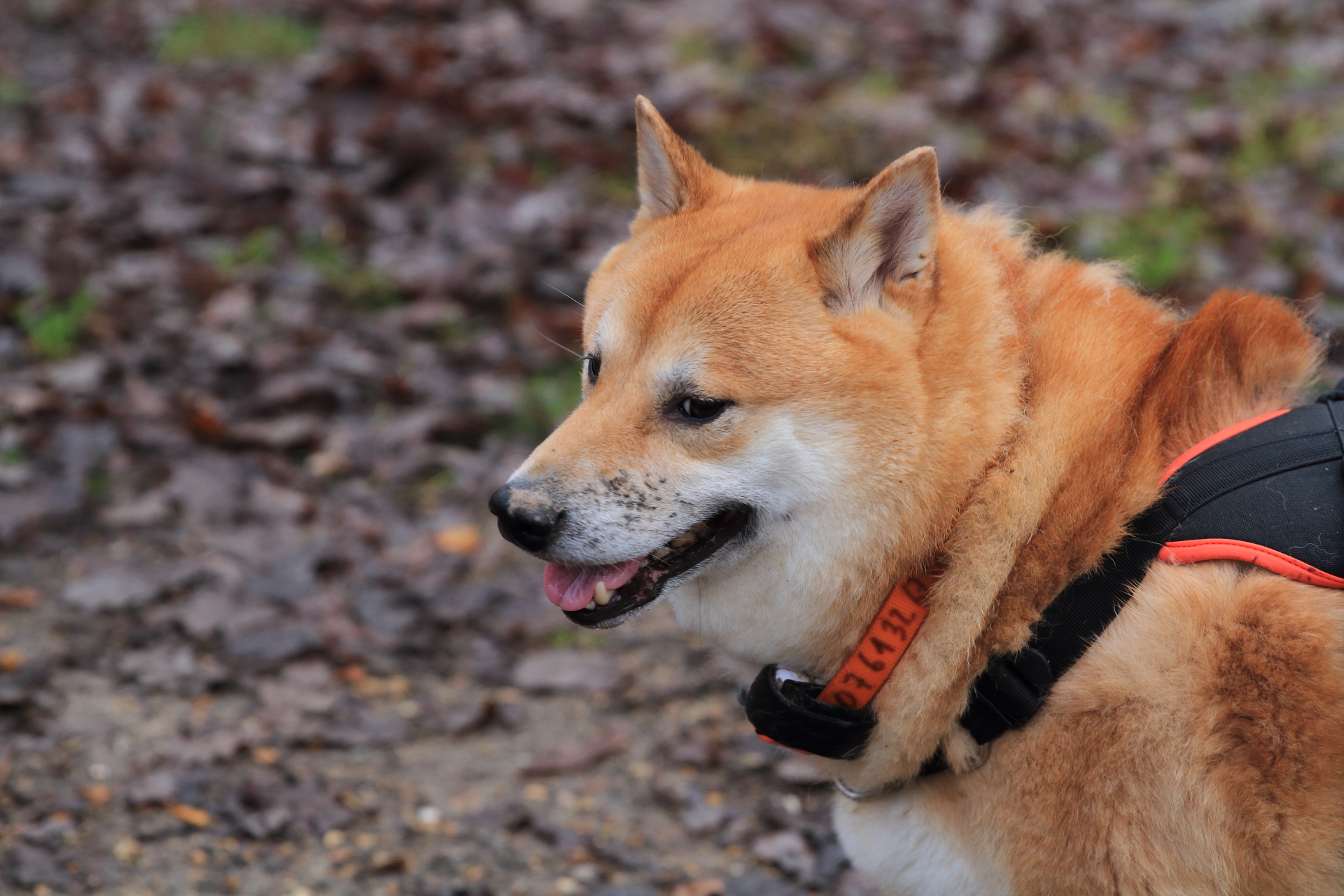 _MG_0364.JPG
