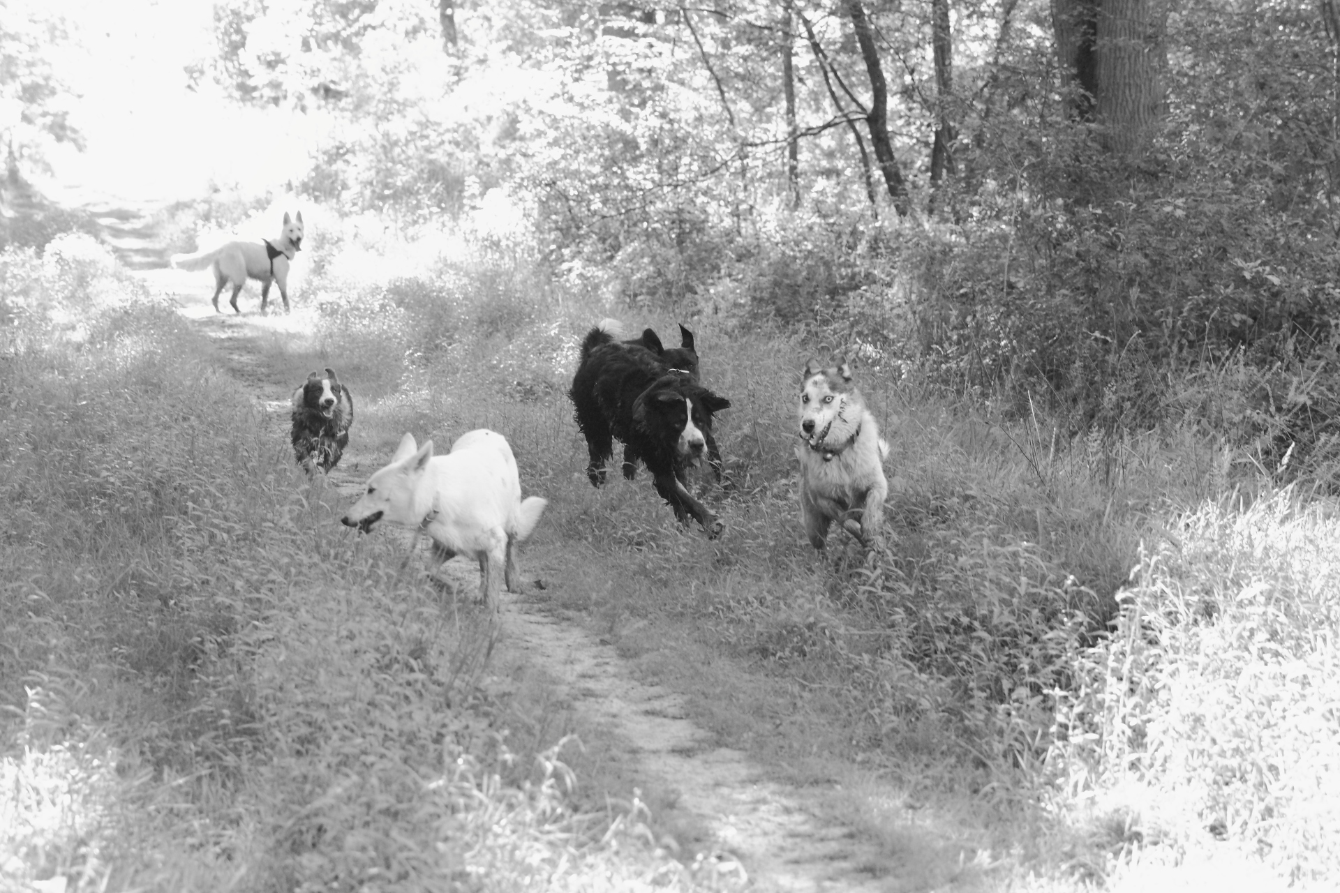 _MG_2055.JPG