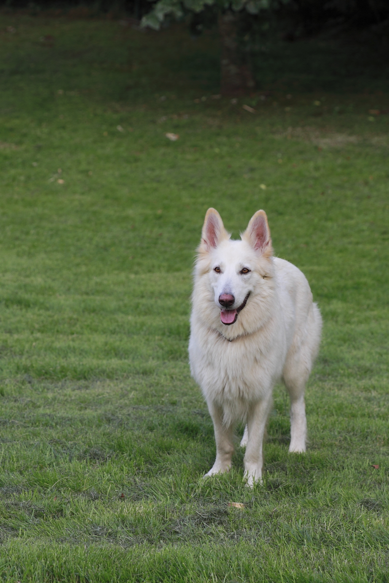 _MG_5443.JPG