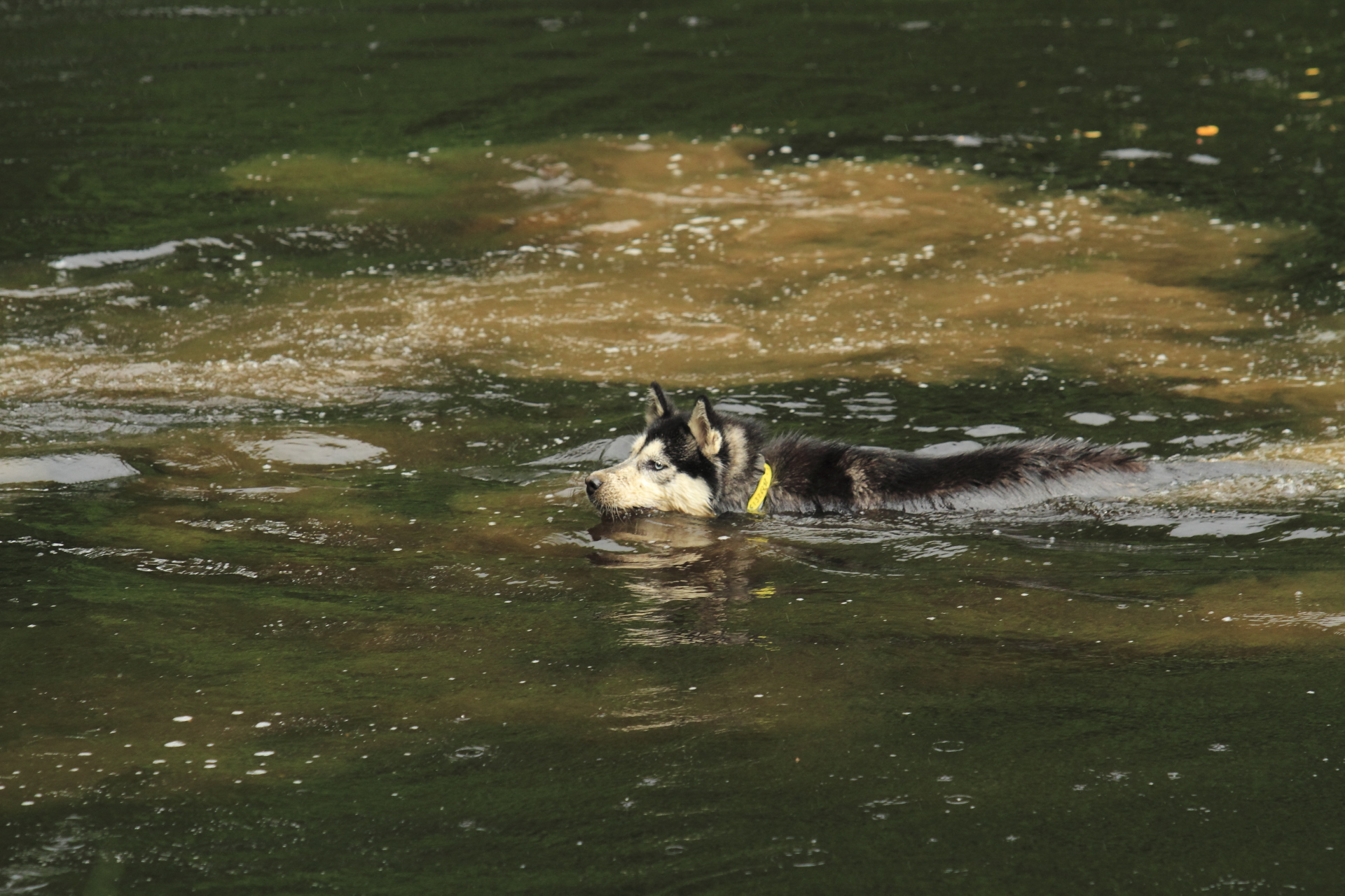 _MG_3844.JPG