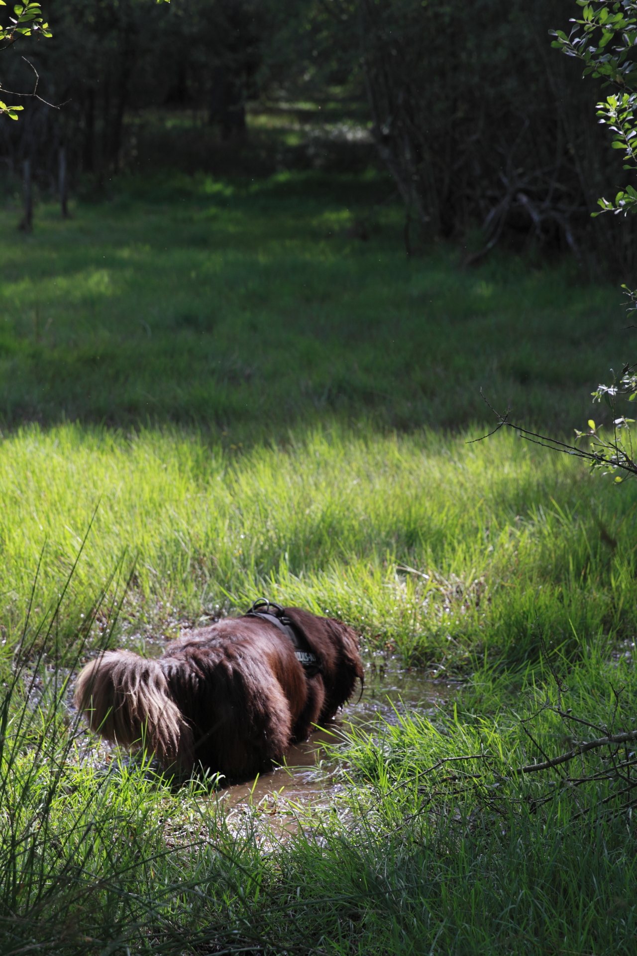 _MG_3204.JPG