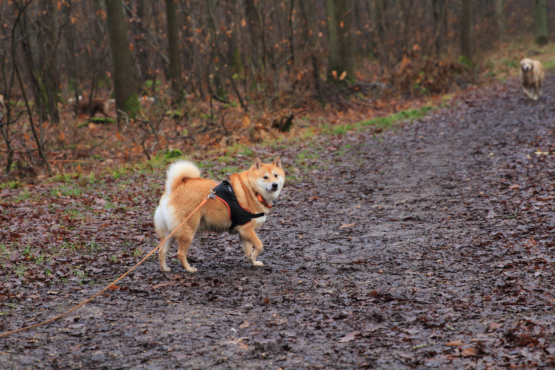 _MG_0404.JPG