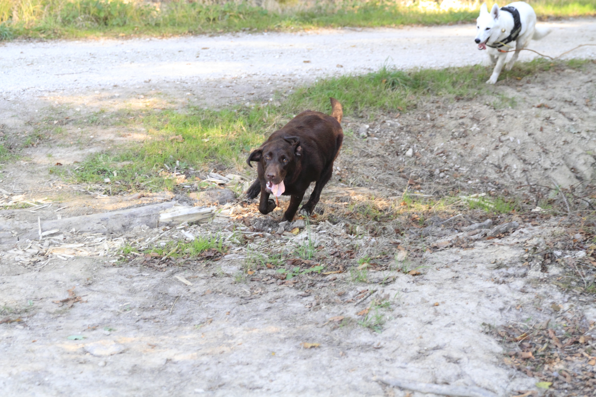 _MG_6249.JPG