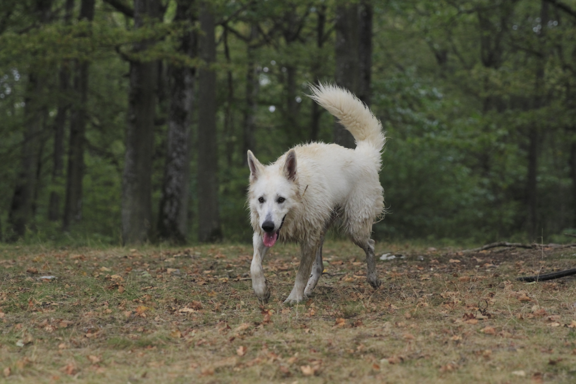 _MG_6121.JPG