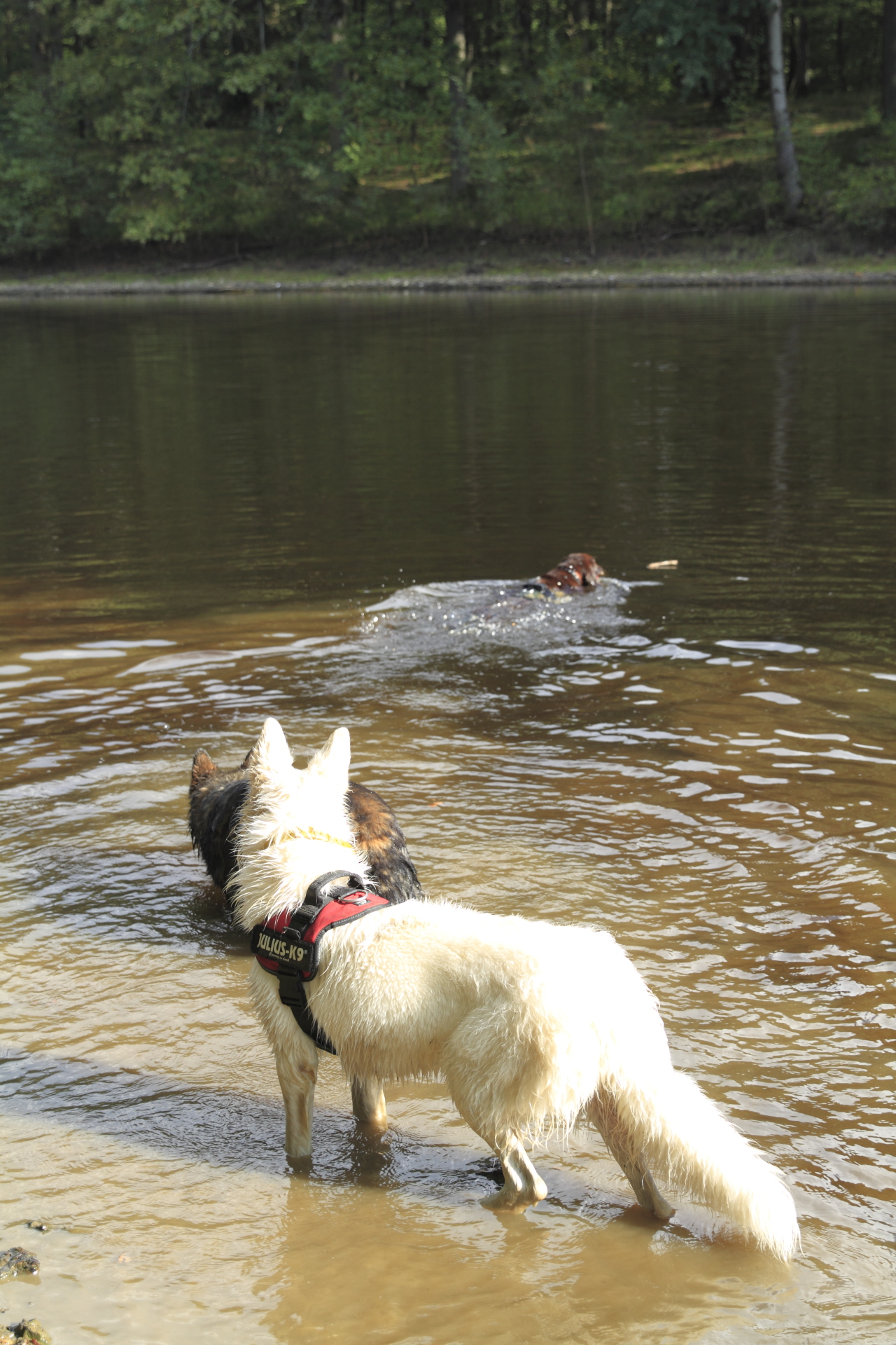 _MG_5998.JPG