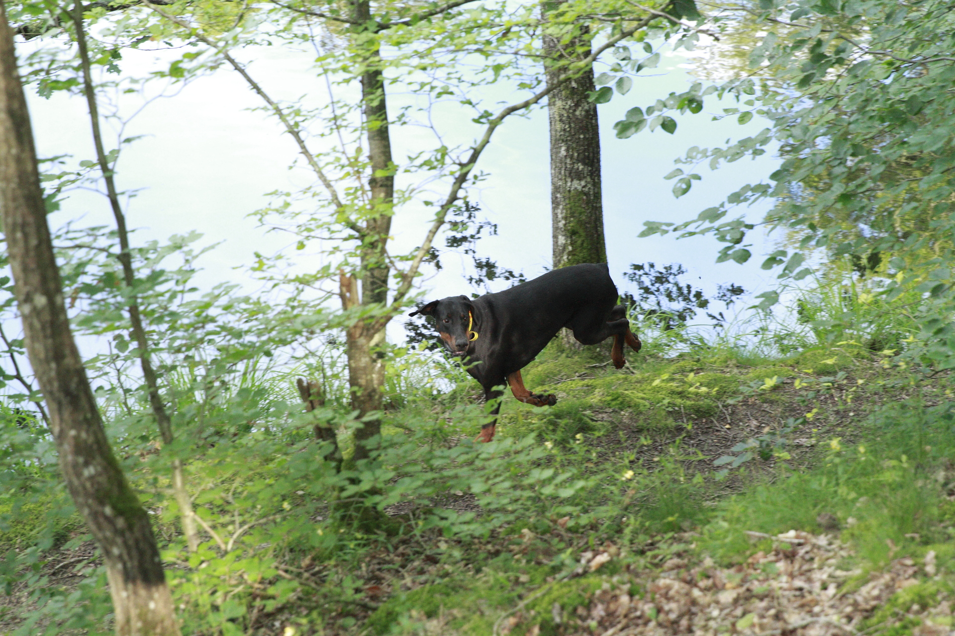 _MG_5850.JPG