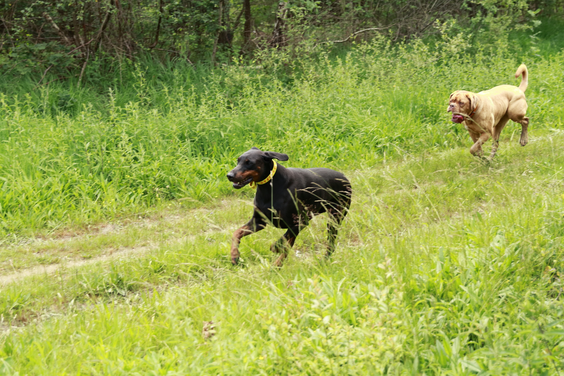 _MG_6029.JPG