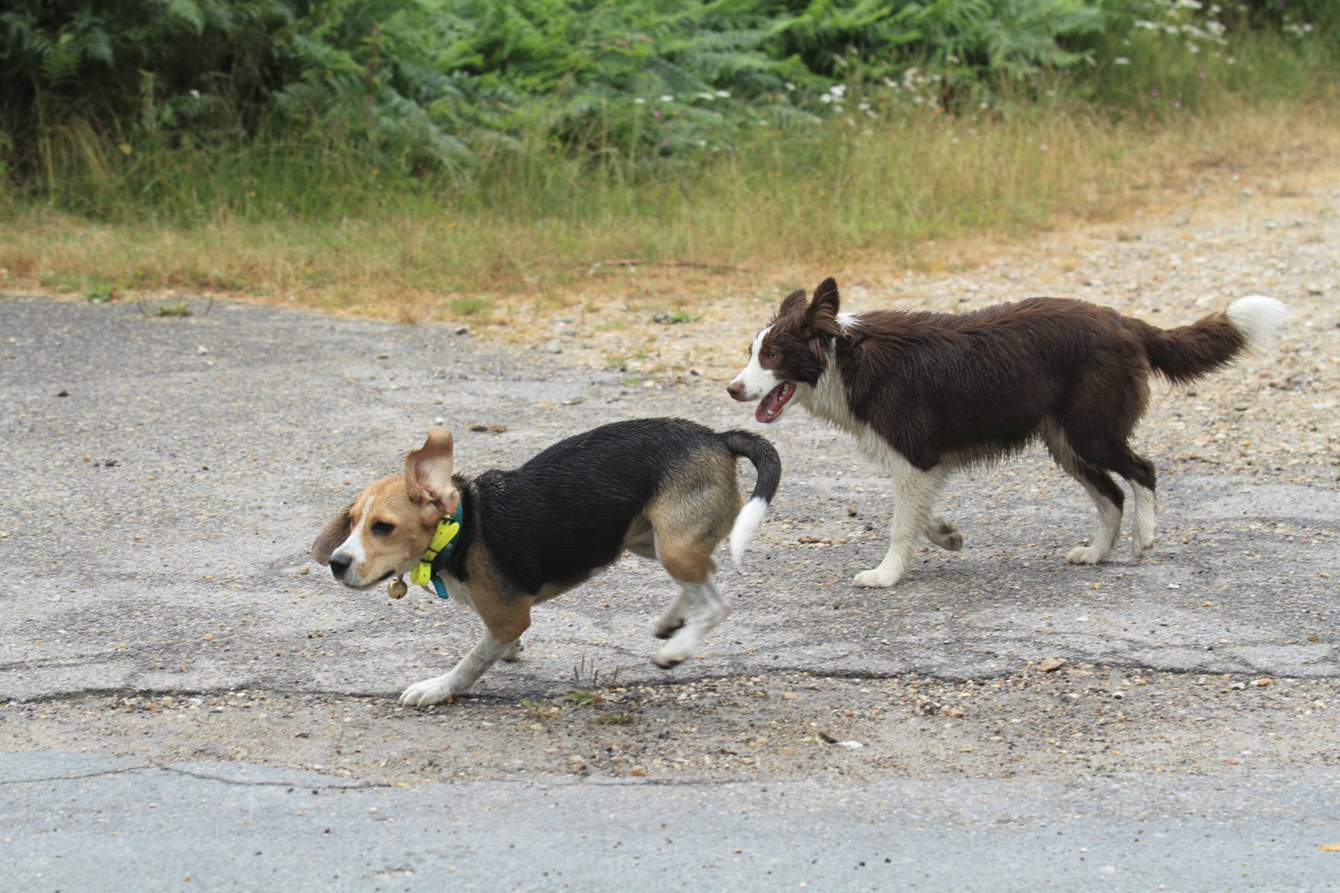 _MG_1027.JPG