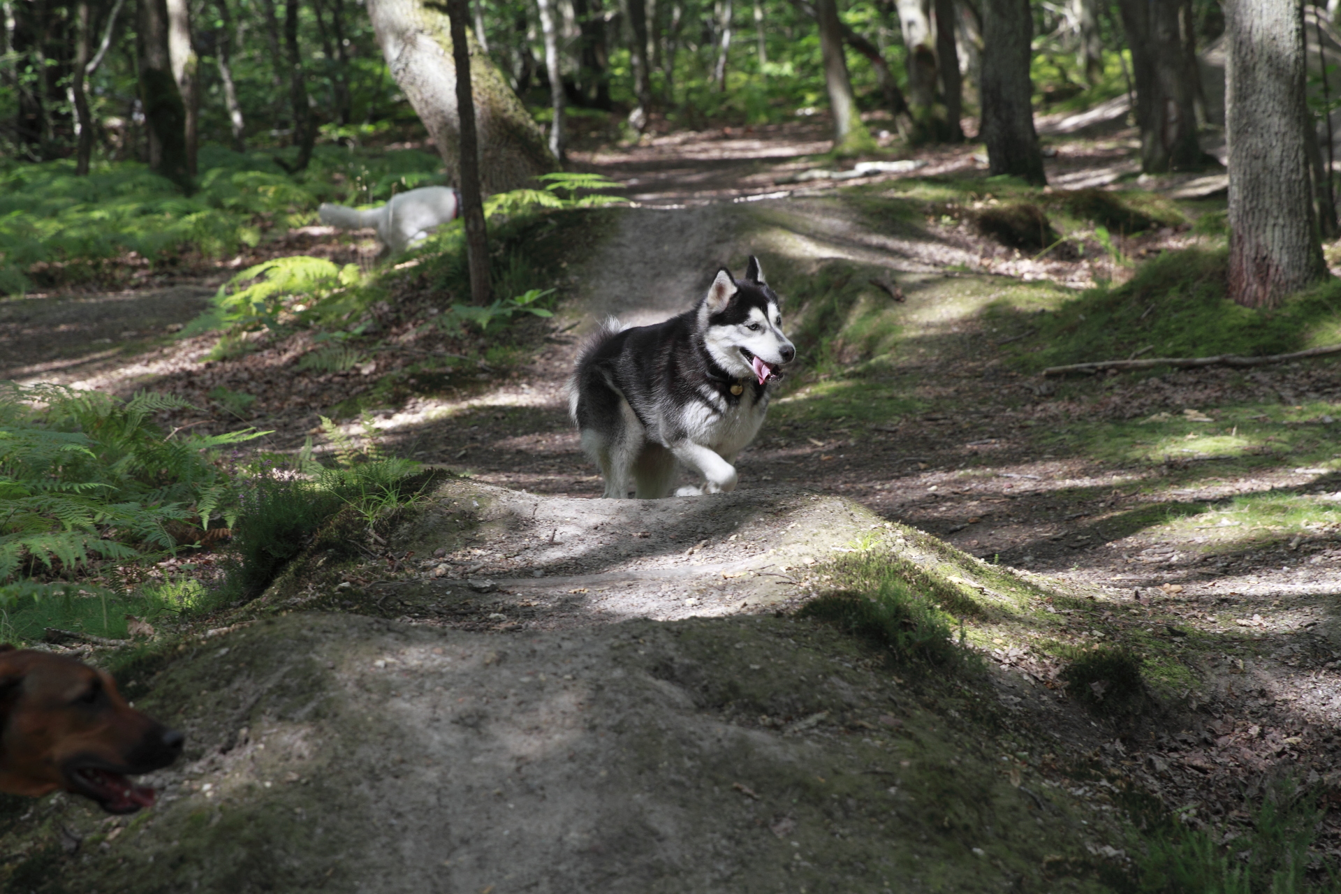 _MG_2498.JPG