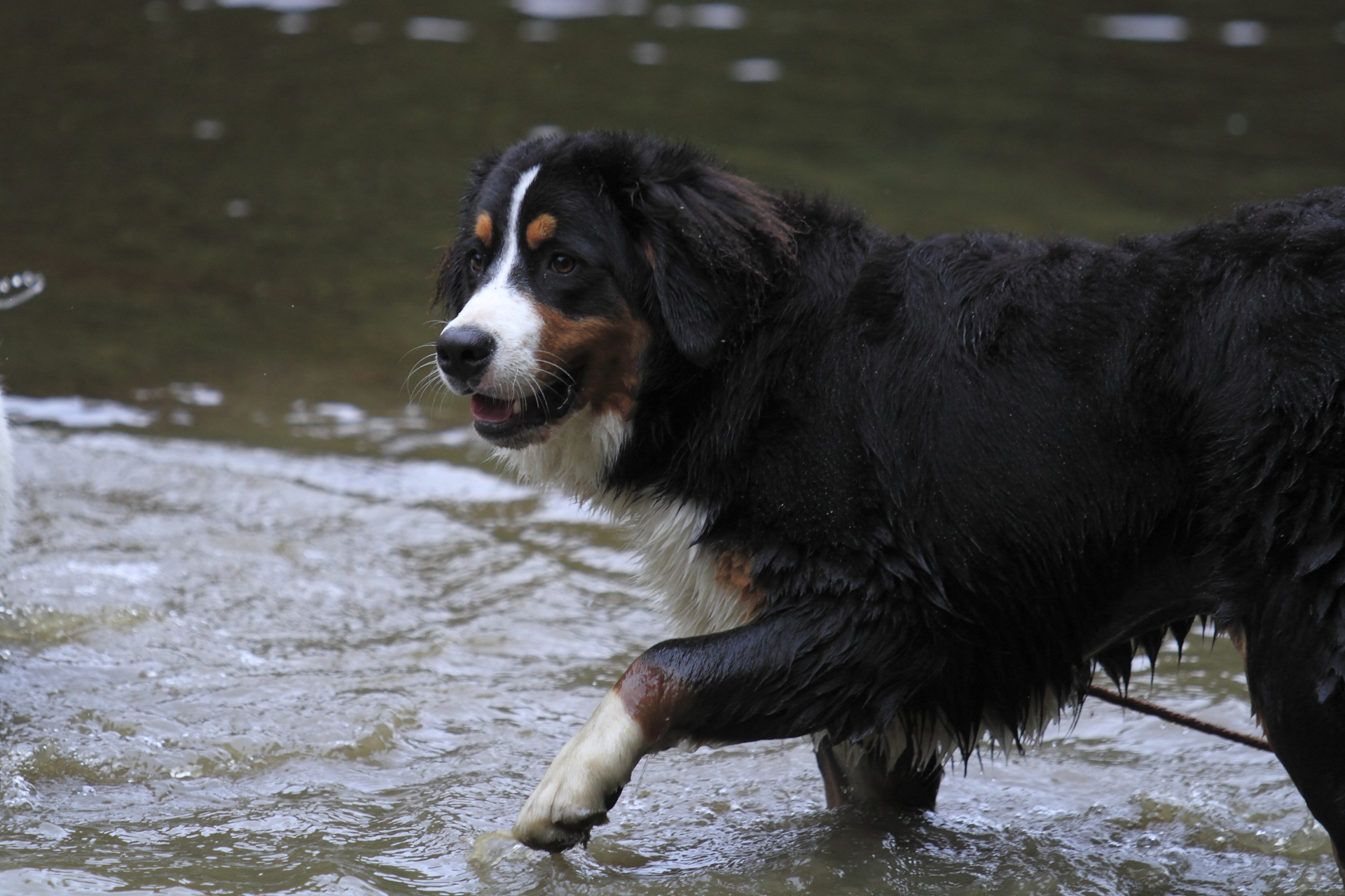 _MG_6477.JPG