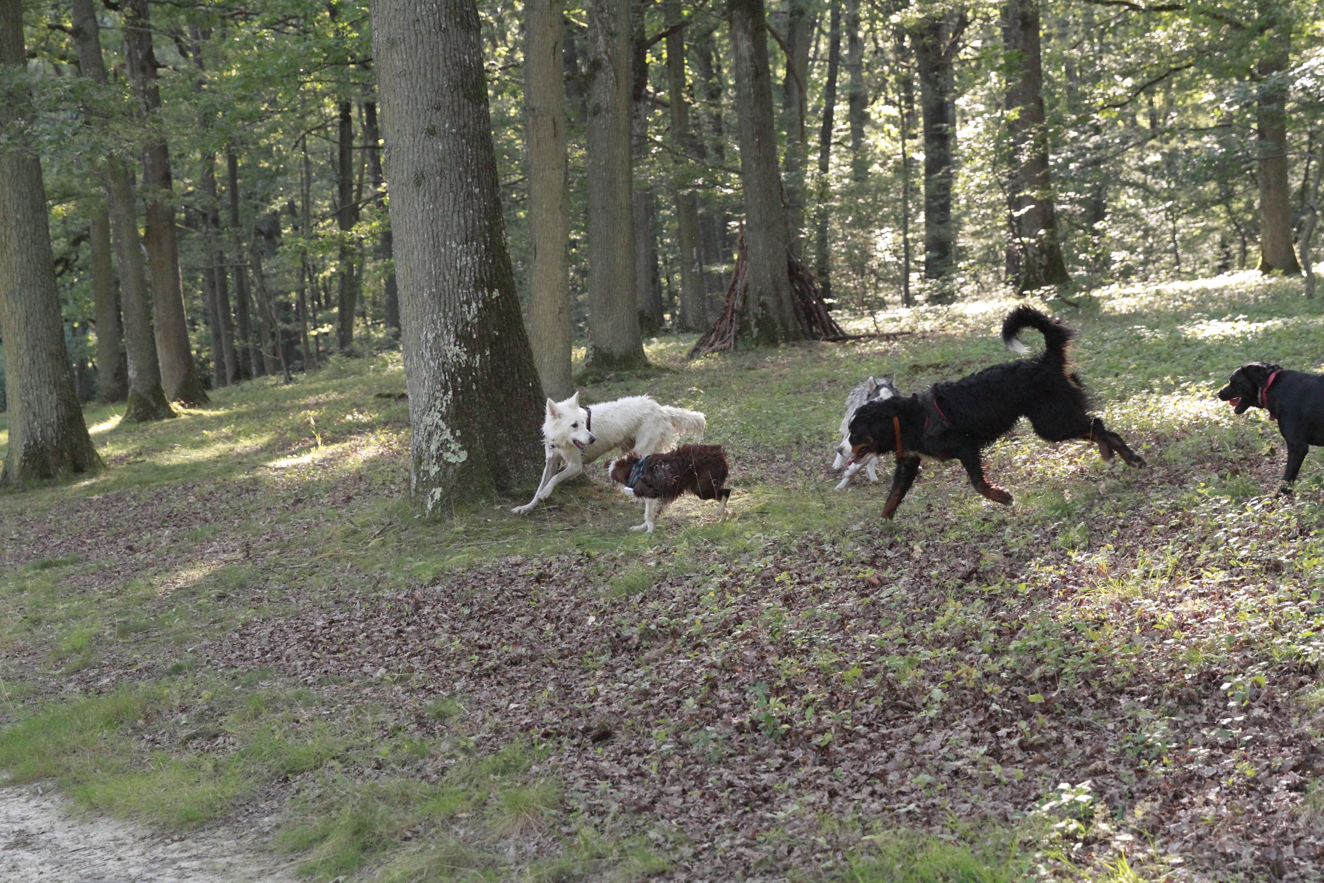 _MG_2100.JPG
