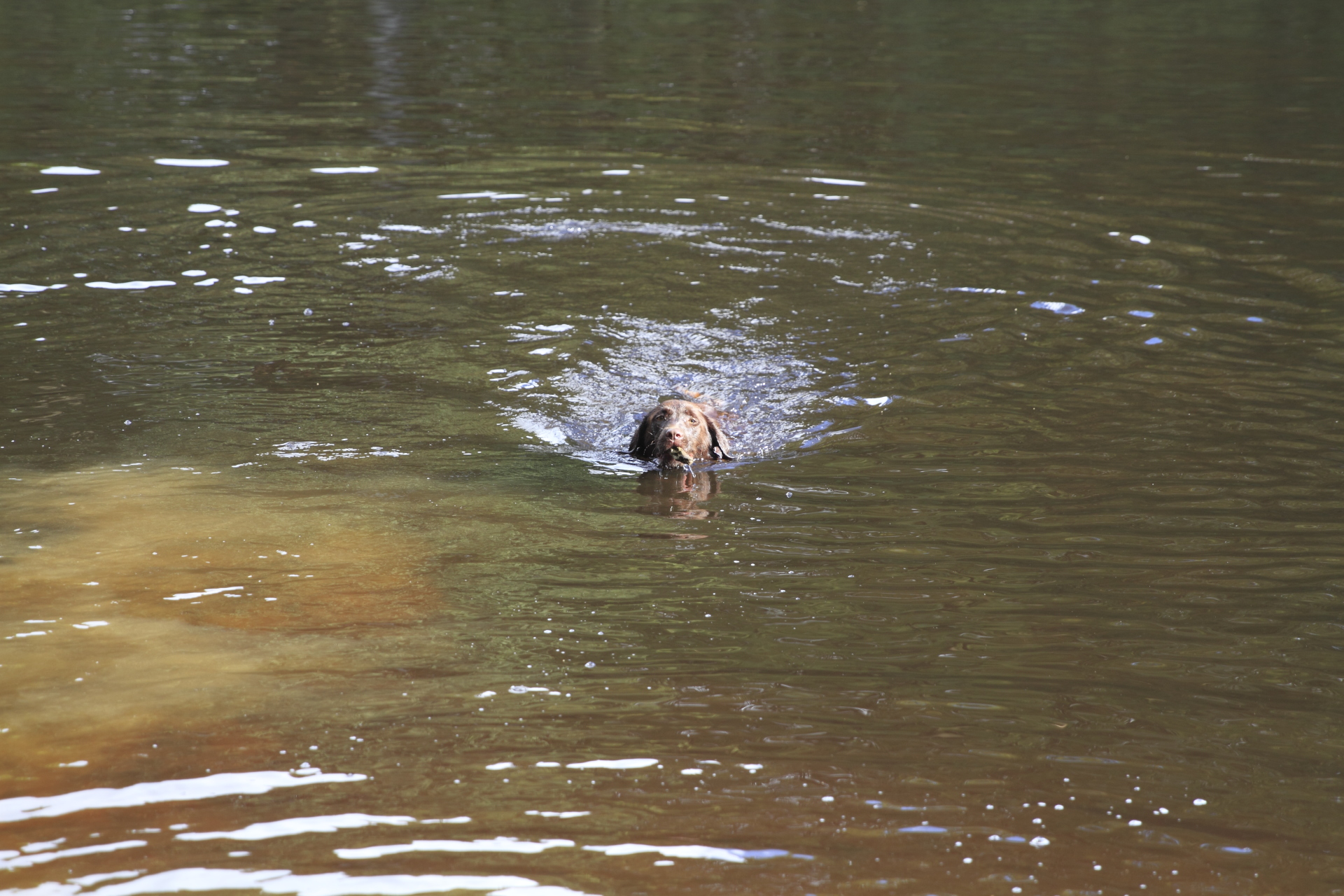 _MG_5992.JPG