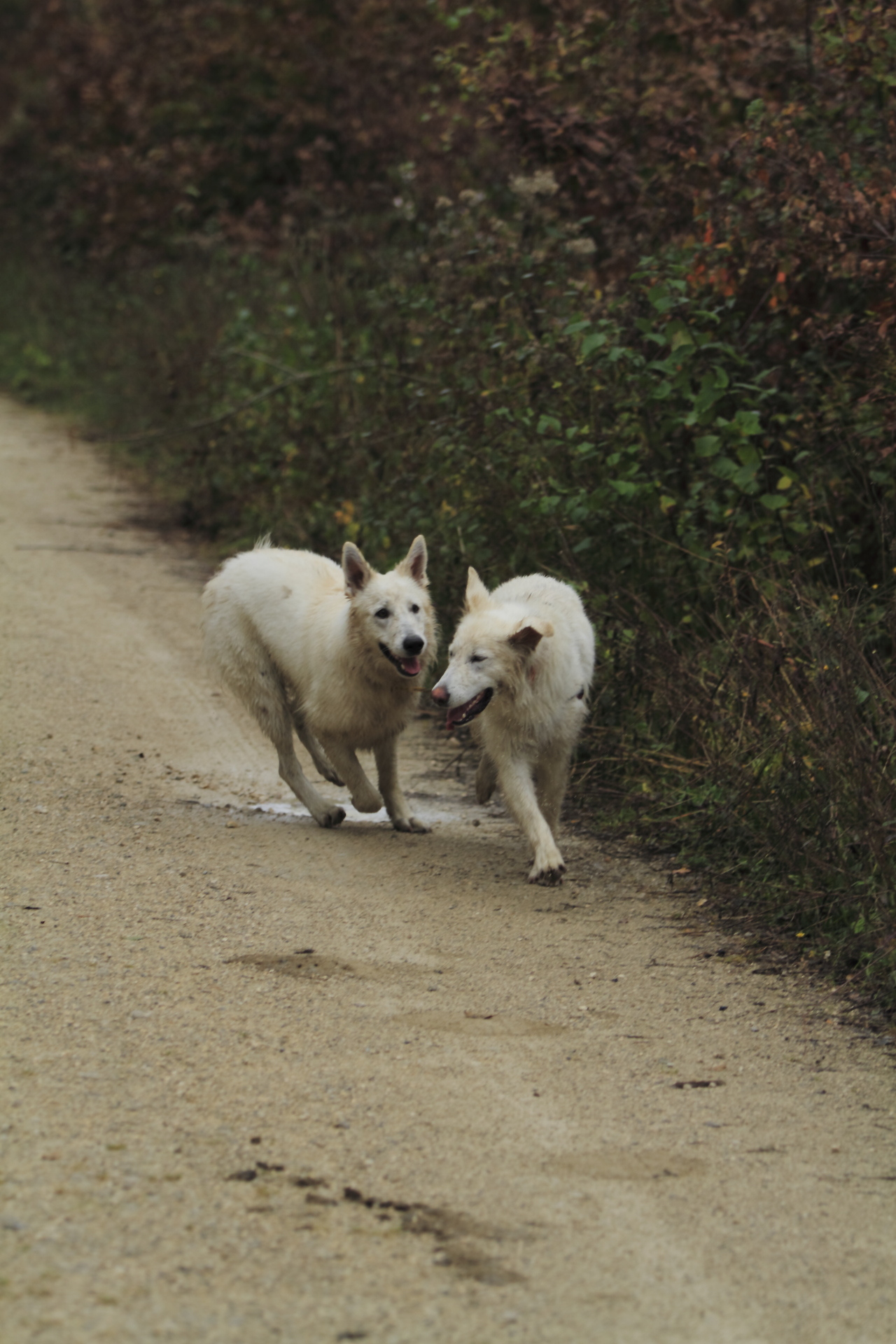 _MG_6518.JPG