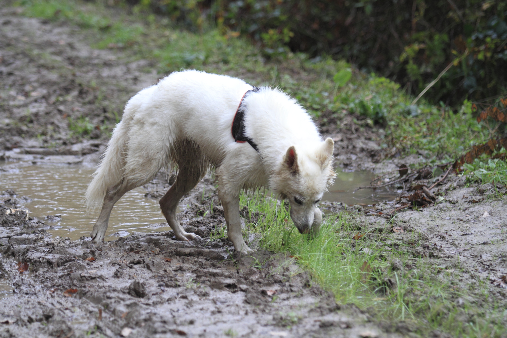 _MG_6455.JPG
